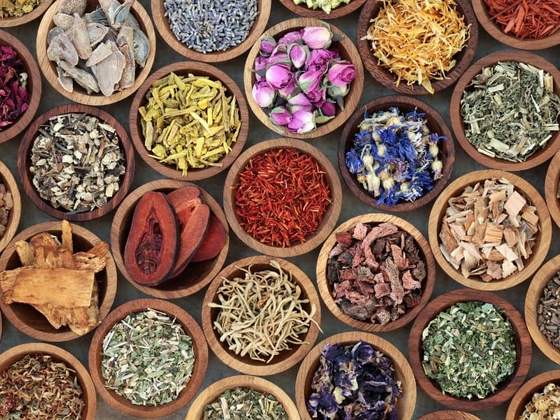 43-types-of-herbs-and-spices-complete-list-and-guide-2023-northern