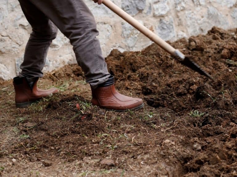 WHICH SOIL IS BEST FOR PLANT GROWTH visual data 2