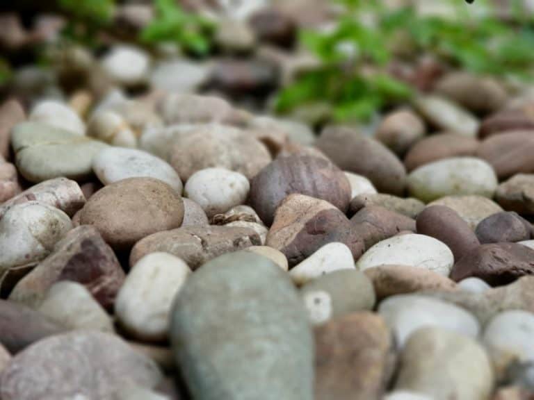10 Simple Tips to Choose Decorative Stones For Gardening Northern Nester