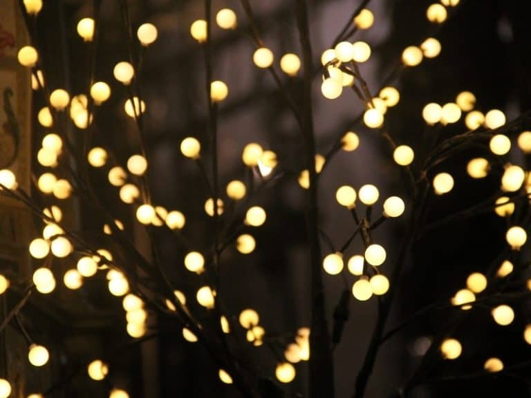 How to Plug in Christmas Lights without an Outdoor Outlet? Northern
