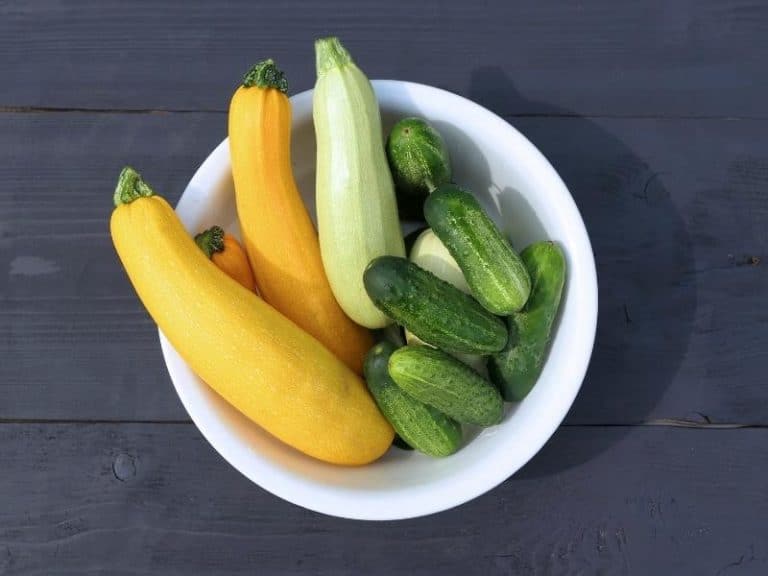 When To Harvest Summer Squash Gardening Tips 2024 Northern Nester