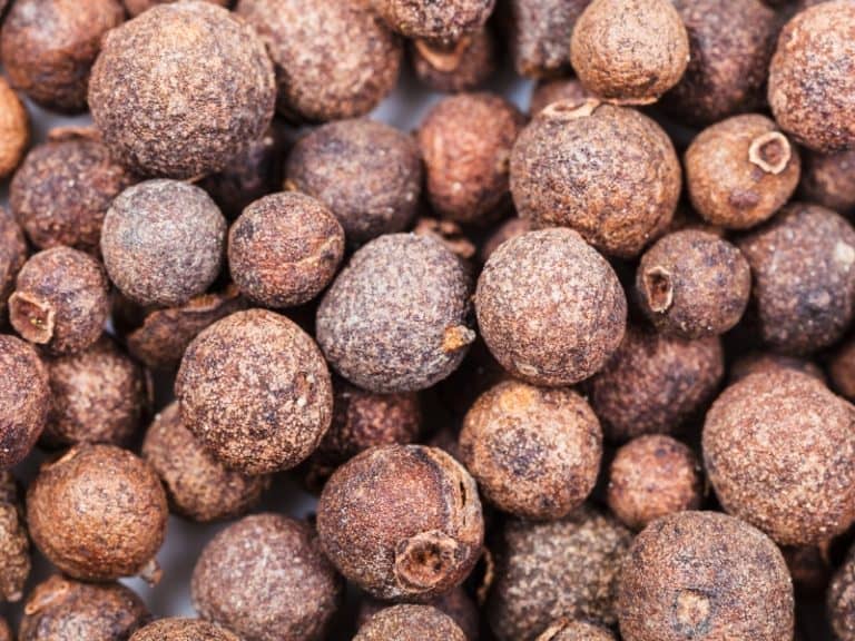 Allspice Berries Substitute Top Options for Your Cooking Needs