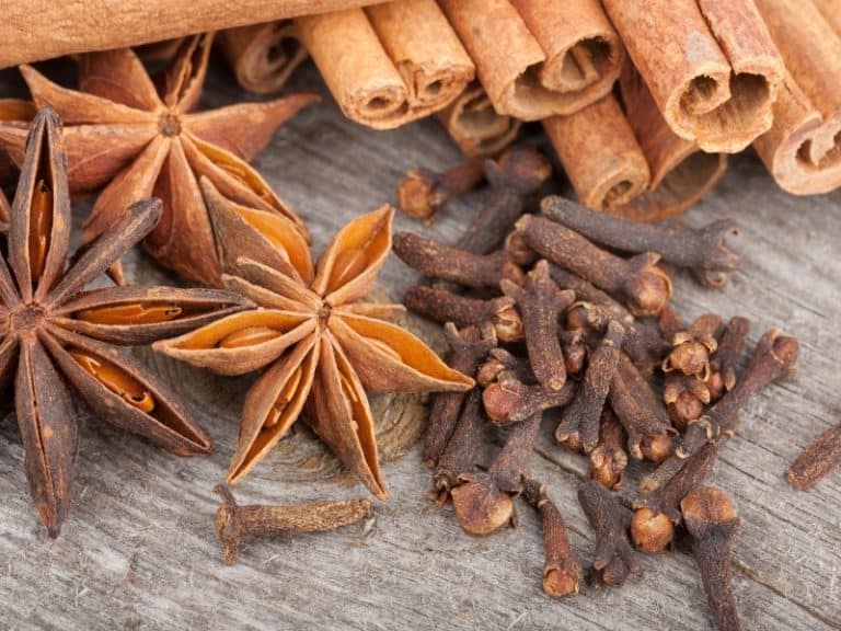 Fennel vs Anise Key Differences and Similarities Northern Nester